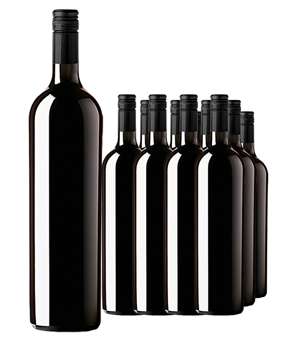 Icon Six Time Gold Medal Winning McLaren Vale Shiraz 2013 Cleanskin Dozen