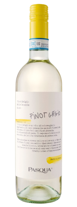 Pasqua Capitolo Pinot Grigio Delle Venezie DOC 2025