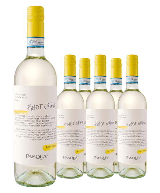 Pasqua Capitolo Pinot Grigio Delle Venezie DOC 2025 6pack