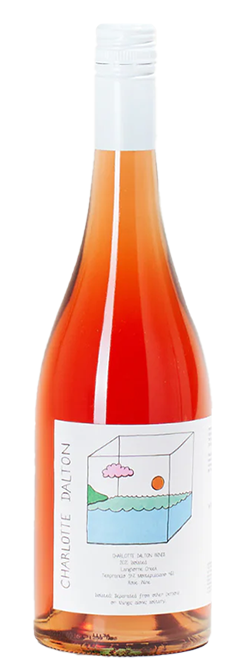 Charlotte Dalton Langhorne Creek Isolated Rose 2023