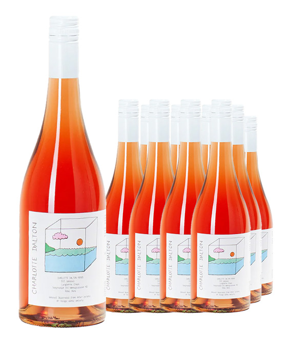 Charlotte Dalton Langhorne Creek Isolated Rose 2023 Dozen