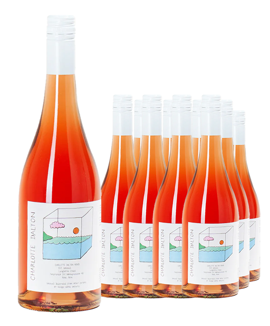 Charlotte Dalton Langhorne Creek Isolated Rose 2023 Dozen