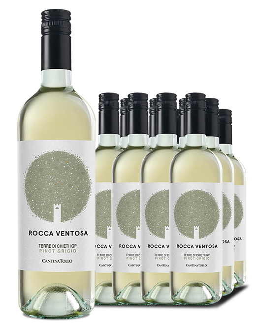 Cantina Tollo Pinot Grigio Dozen Fresh, Full-Bodied, and Award - Main Image