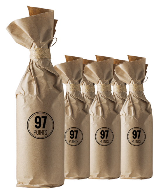 Wine Protection Program 97 Point Secret Icon Barossa Shiraz 2021 6pack