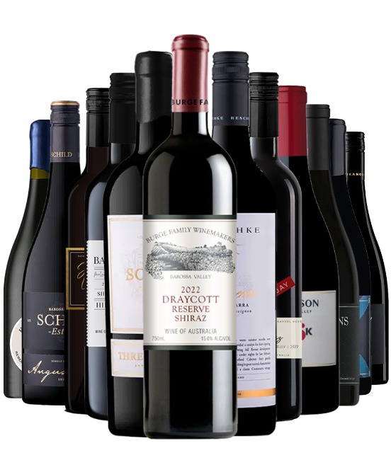 Scorpion Venom Mixed Dozen $1900 RRP