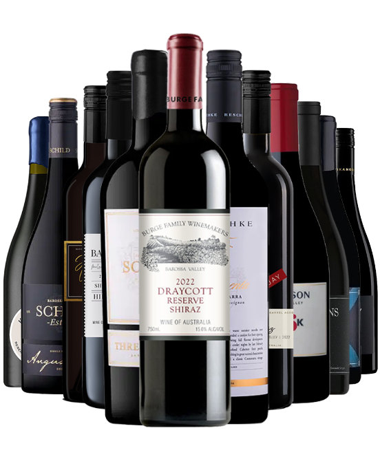 Scorpion Venom Mixed Dozen $1900 RRP