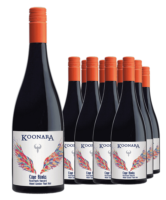 Koonara Wines Cape Banks Razortooth Mount Gambier Pinot Noir 2022 Dozen