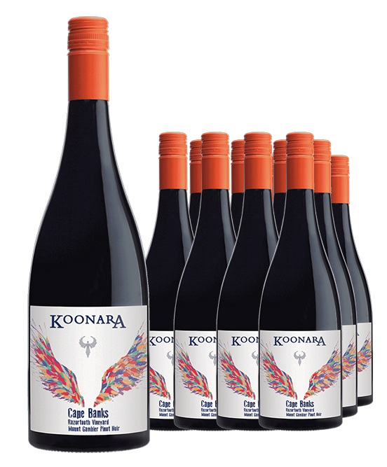 Koonara Wines Cape Banks Razortooth Mount Gambier Pinot Noir 2022 Dozen