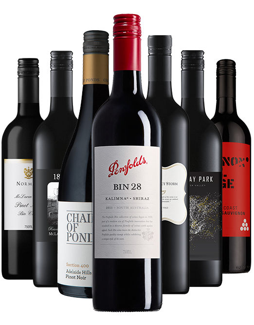 Premium Penfolds Bin 28 Mixed Dozen