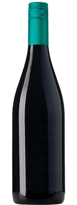 Celebration Yarra Valley Shiraz 2019 Cleanskin
