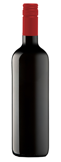 The Ripping DDG Barossa Valley Shiraz 2021 Cleanskin