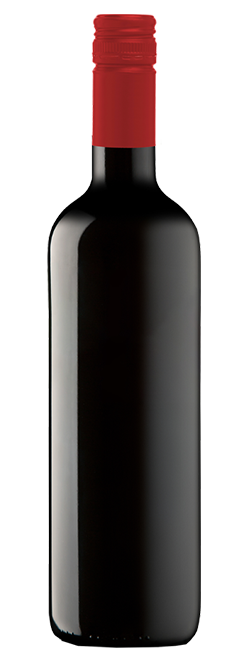 The Ripping DDG Barossa Valley Shiraz 2021 Cleanskin