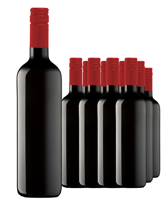 The Ripping DDG Barossa Valley Shiraz 2021 Cleanskin Dozen