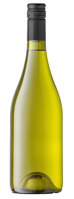 5 Star Rated Marlborough Sauvignon Blanc 2024 Cleanskin