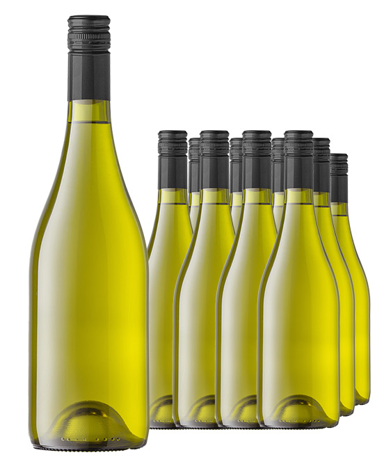 5 Star Rated Marlborough Sauvignon Blanc 2024 Cleanskin Dozen