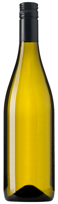 Gold Medal Winning South Australian Chardonnay 2016 Cleanskin
