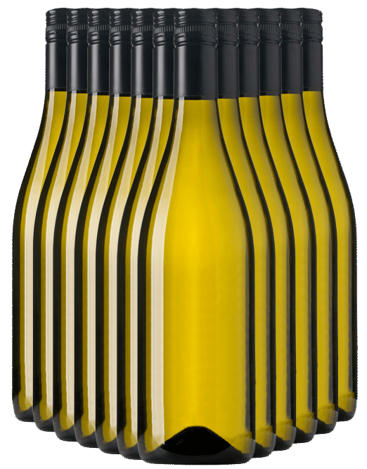 Gold Medal Winning South Australian Chardonnay 2016 Cleanskin Dozen