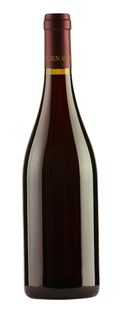 Legacy Barossa Shiraz 2021 Cleanskin