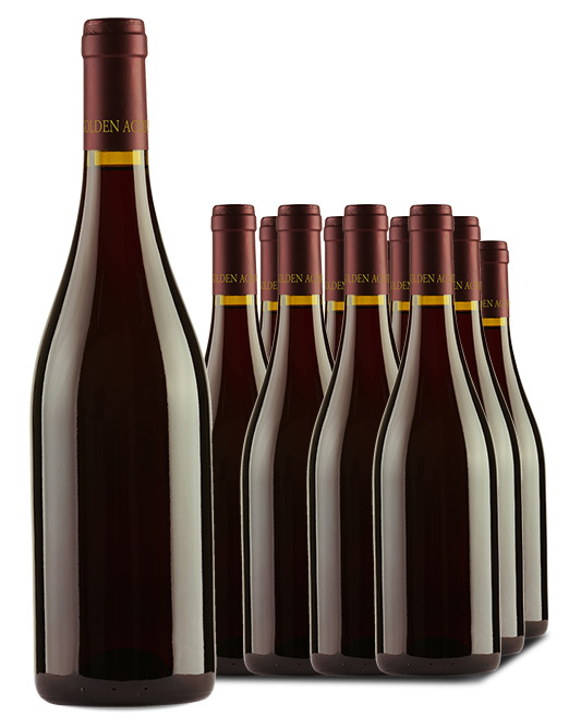 Legacy Barossa Shiraz 2021 Cleanskin Dozen