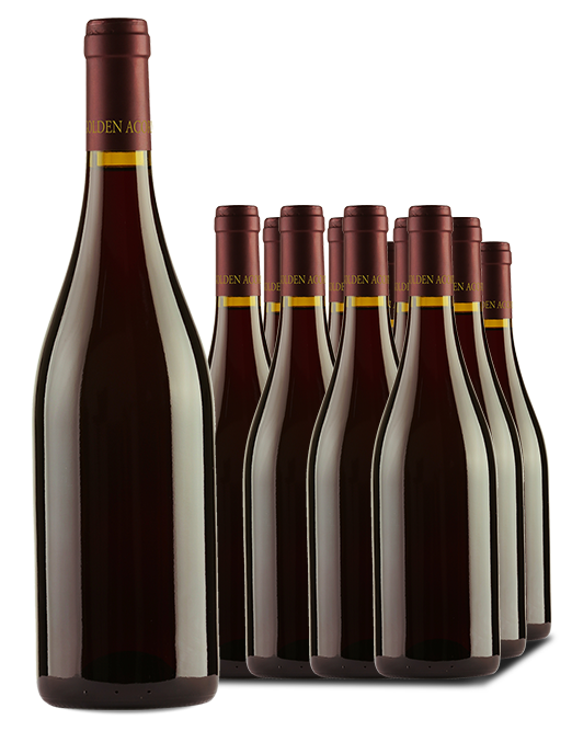 Legacy Barossa Shiraz 2021 Cleanskin Dozen