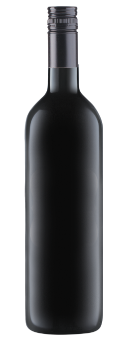 Gold Medal & 96 Point McLaren Vale Shiraz 2022 Cleanskin