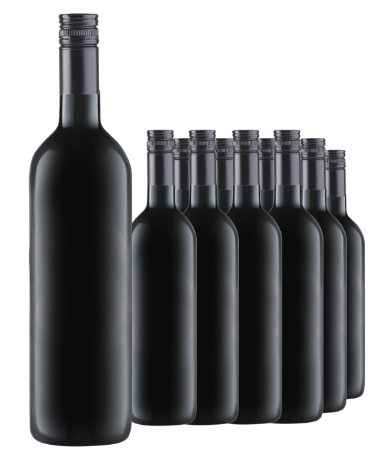 Gold Medal & 96 Point McLaren Vale Shiraz 2022 Cleanskin Dozen