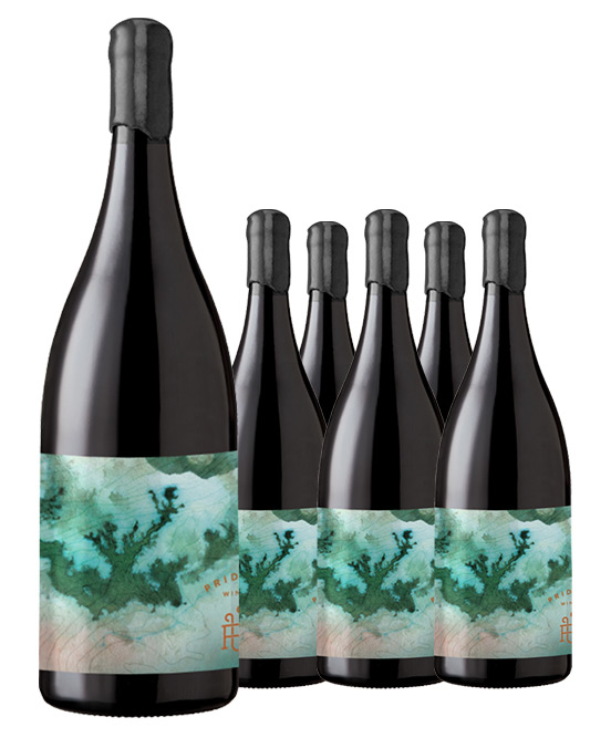 Pridmore Wine Co Grace Under Pressure Blewitt Springs McLaren Vale Shiraz 2019 6pack