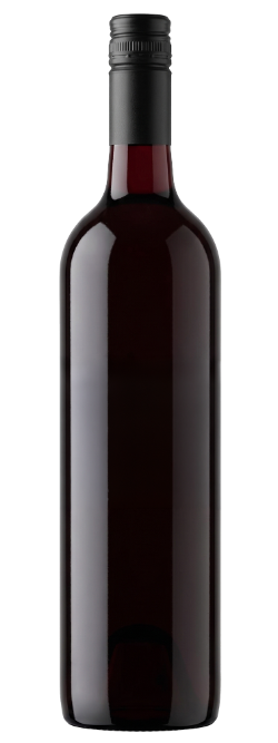 Barossa Valley Shiraz 2017 Cleanskin