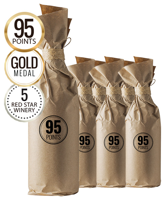 Wine Protection Program 95 Point Southern Valley Barossa Shiraz 2016 6pack