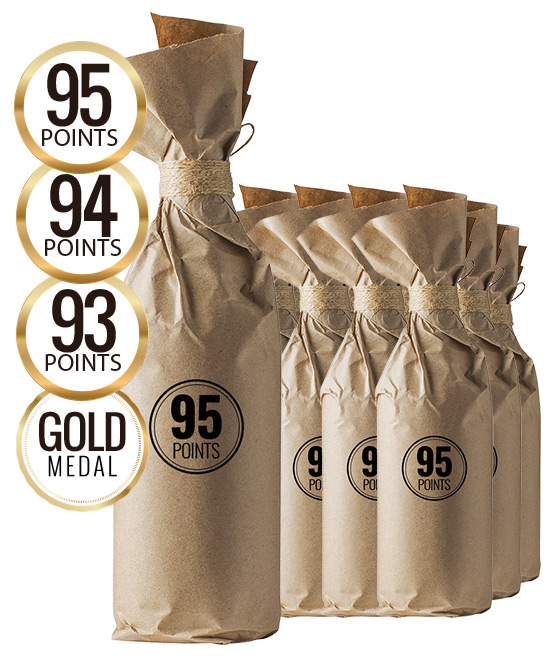 Wine Protection Program 95 Point Limestone Coast Malbec 2022 Dozen