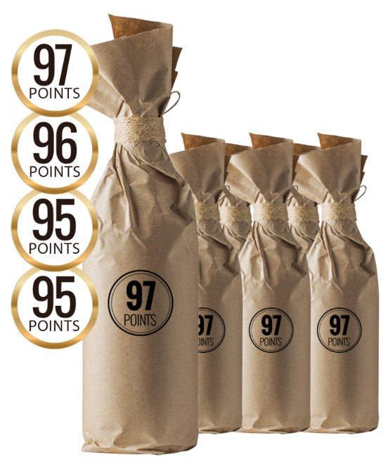 Wine Protection Program 97 Point Secret Icon Barossa Shiraz 2021 6pack