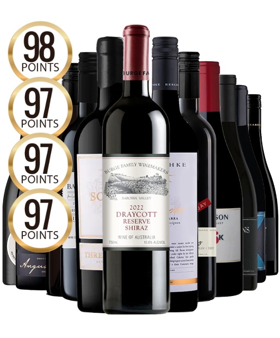 Scorpion Venom Mixed Dozen $1900 RRP