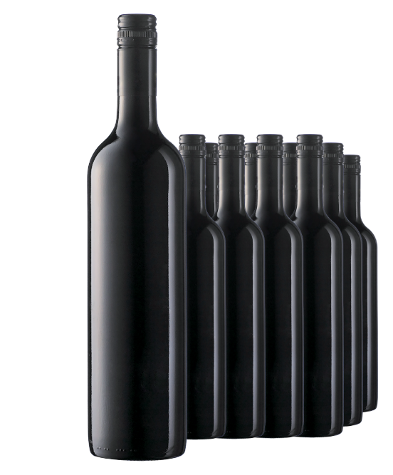 Icon Trophy Winning Winemakers Coonawarra Cabernet 2019 Cleanskin Dozen
