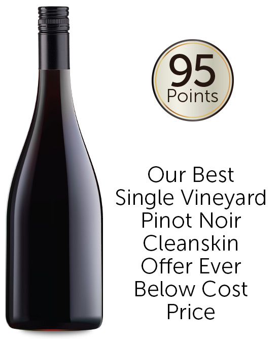 95 Point Single Vineyard Adelaide Hills Pinot Noir 2018 Cleanskin