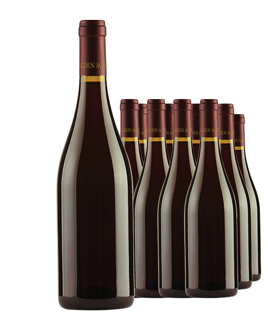 Legacy Barossa Shiraz 2021 Cleanskin Dozen