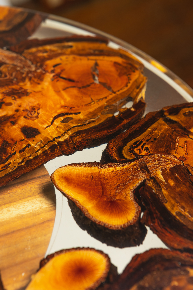 Camphor & Burl Sculpted Table by Florian Nier - Table