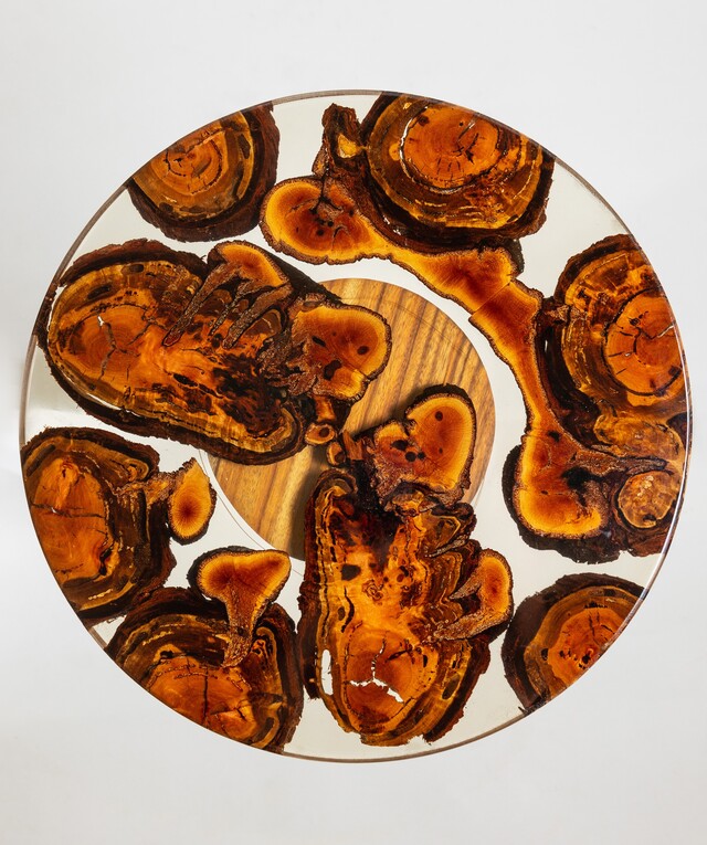 Camphor & Burl Sculpted Table by Florian Nier - Table