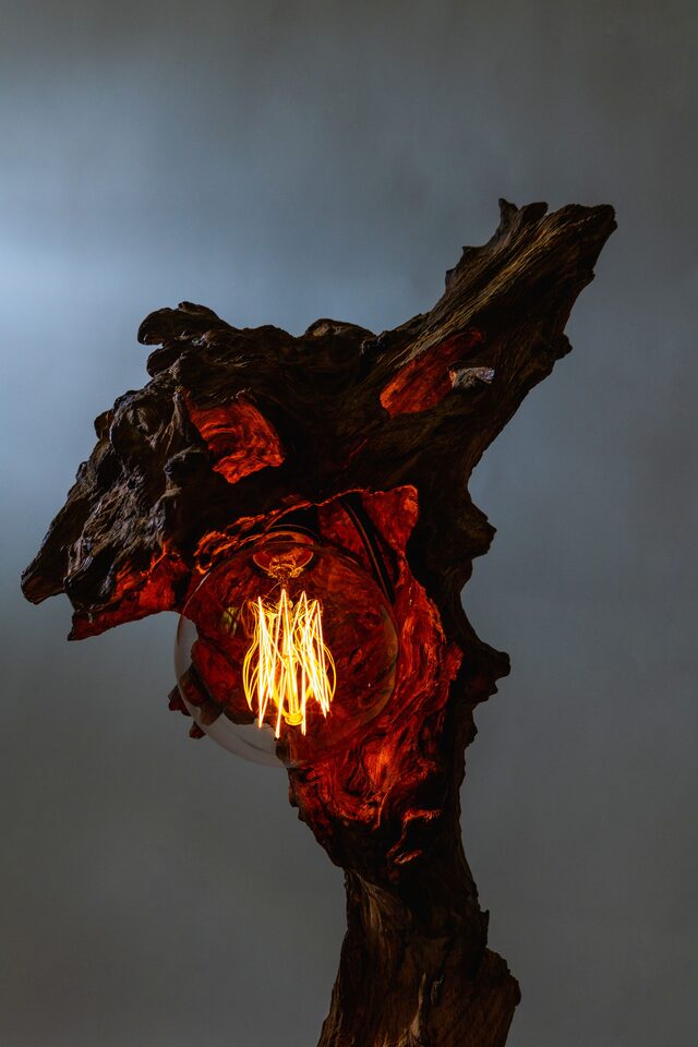 Dragon Lamp | Custom Handmade by Florian Nier - Edison Bulb, Dimmable