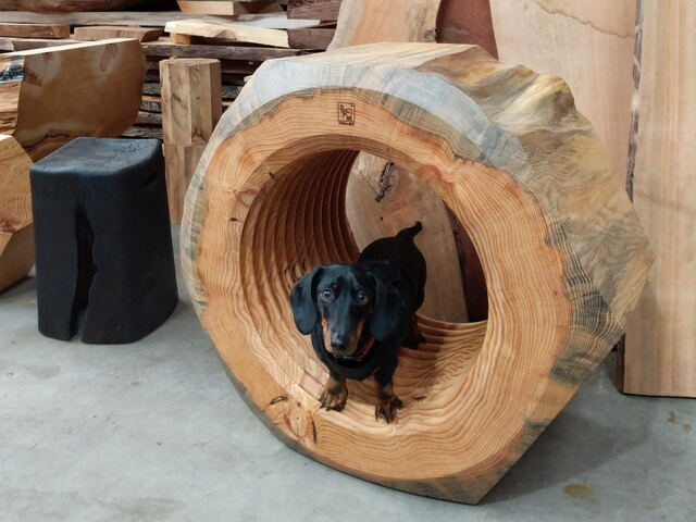 Stack Laminated / Monolithic Sculptural Pieces by Twig&Bot - Sculptural Furniture, Sculpture, Stack Lamination, Organic Shapes, Monolithic