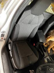 View Auto part Stabiliser Bar Mazda Bt50 2021