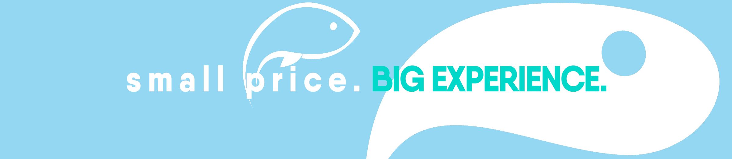 Hitch Car Rentals · Car Rental in Auckland, Christchurch, Queenstown