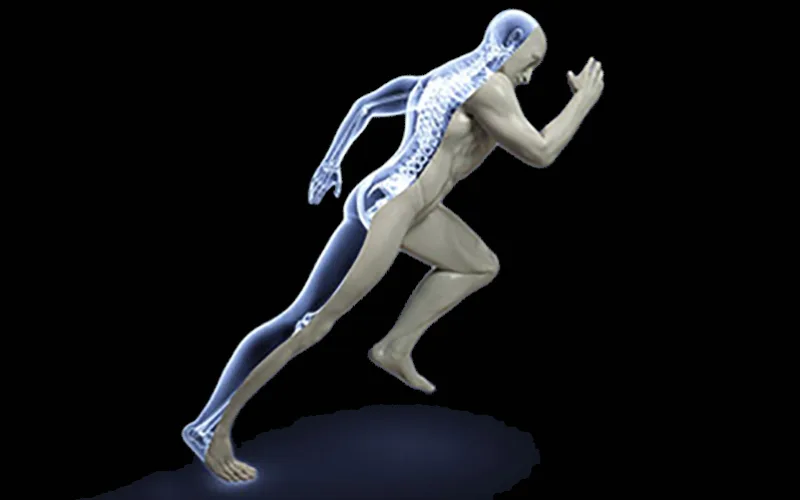 Polhemus Motion Tracking