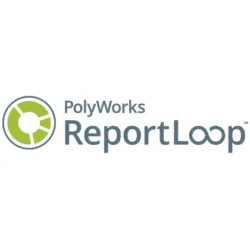 PolyWorks|ReportLoop