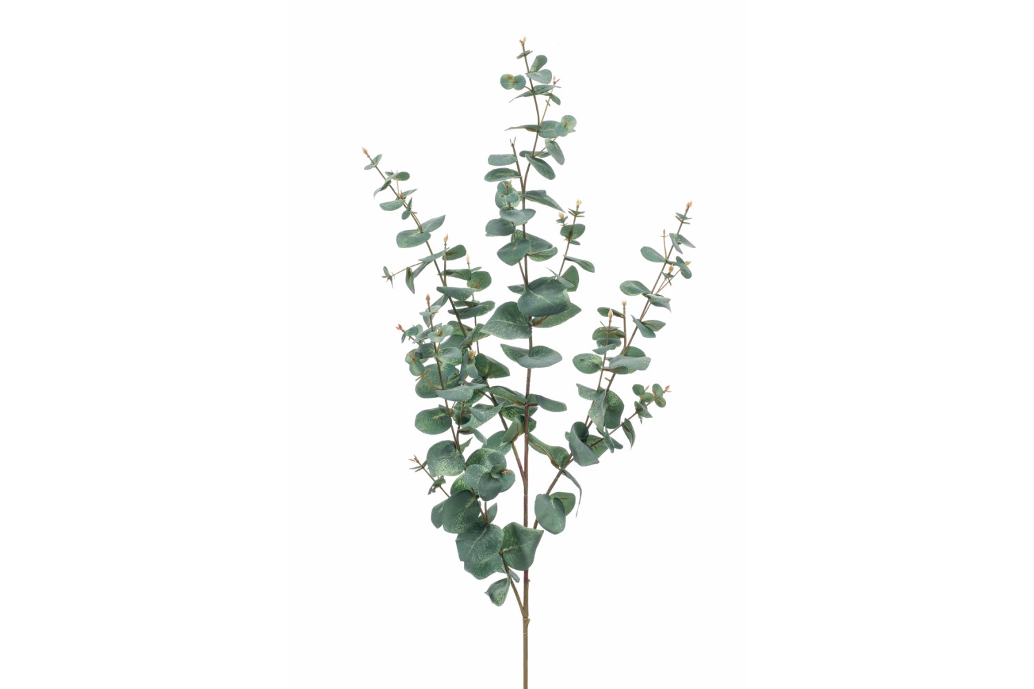 Eucalyptus Spray | 115cm