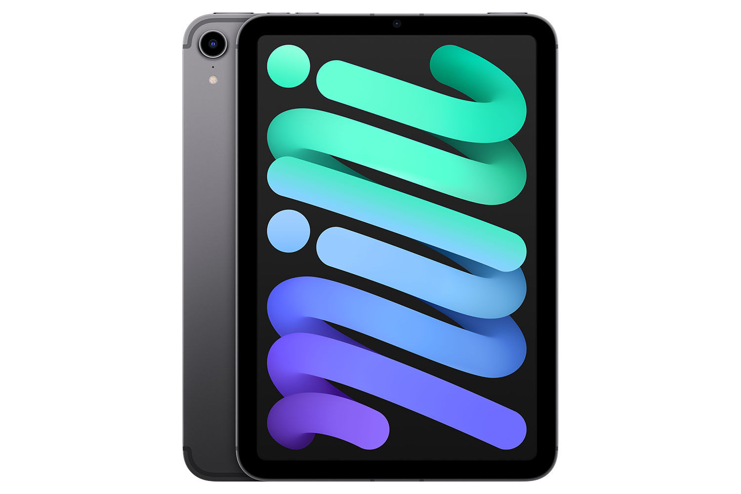 iPad Mini Wi-Fi + Cellular | 256GB | Space Grey (2021)
