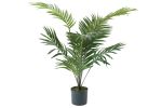 Palm Paradise Plant in Pot | 90 cm