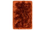 Plush Rug | Rust | 200 x 300 cm