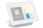 Google Nest Hub 2nd Generation | Chalk