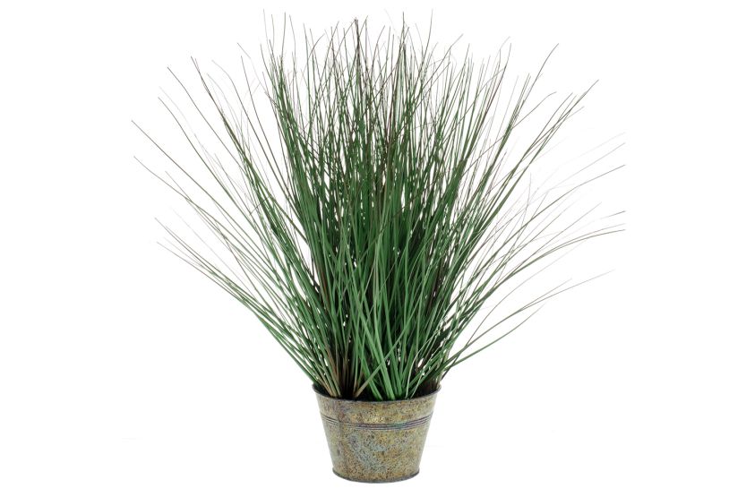 Wild Grass | Zinc Pot | 50 cm