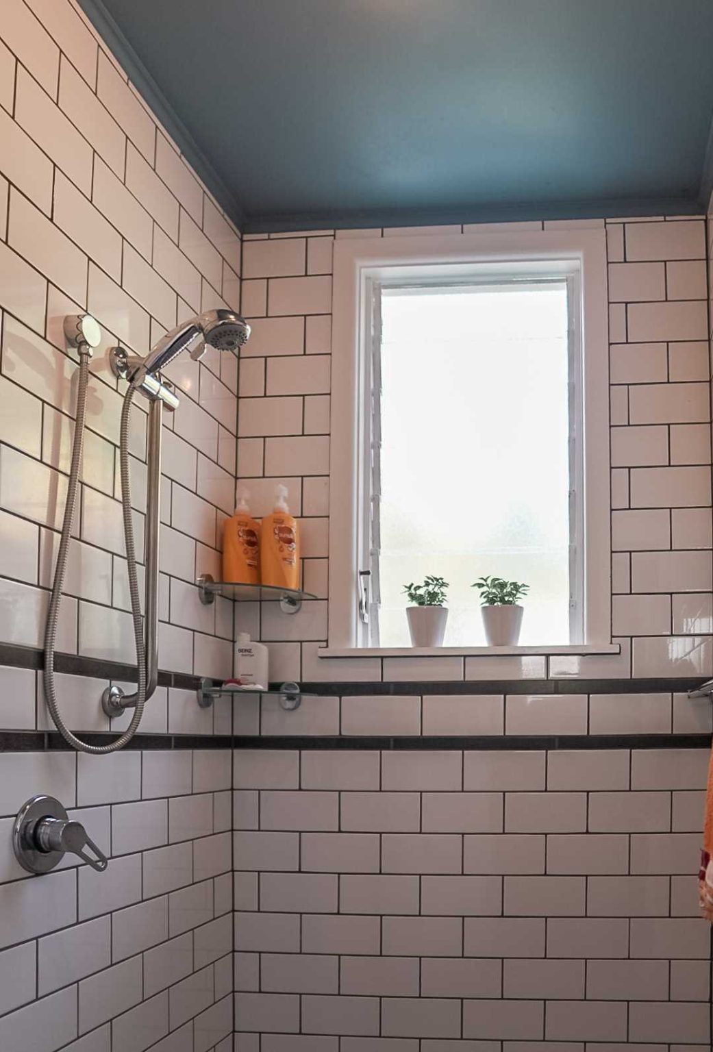  at 5 Corry Avenue, Bluff Hill, Napier